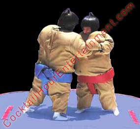 florida sumo suits game